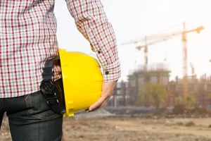 What is the Basic Objective under the Labour and Industrial Laws ?